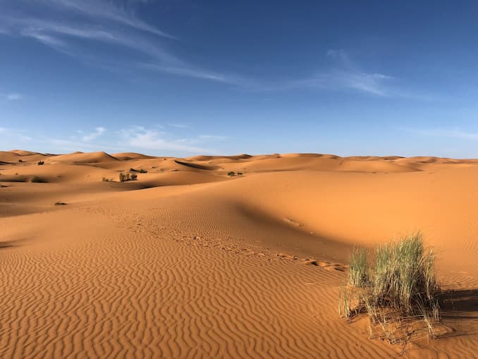 I biomi terrestri: il deserto